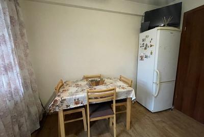 Apartament o camera, gradina plus parcare incluse in pret - 1