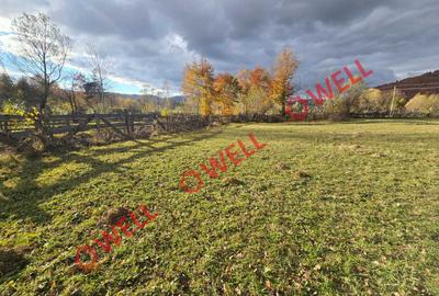 Teren de vânzare în Vama Buzăului, sat Buzaiel! - 3