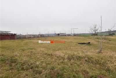 LOC DE CASA IN MARGHITA | 600 MP - 3