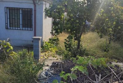 UNICAT! CASA CU TEREN 900MP ZONA COICIU - 6