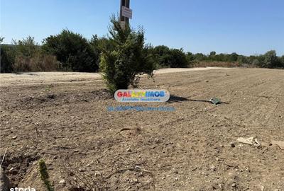 Teren de 2960 mp, în Lipănești - 12