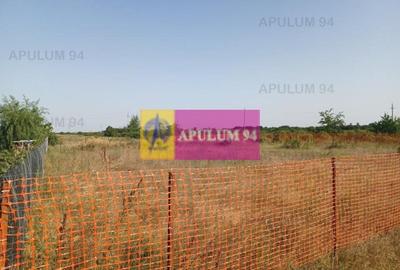 Săbăreni, teren intravilan construibil, cu utilităti in apropiere - 3