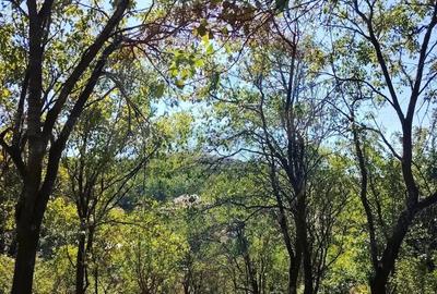 EXCLUSIVITATE! Casa veche si teren 30 ari, centru Mirsid - Comision 0% - 6