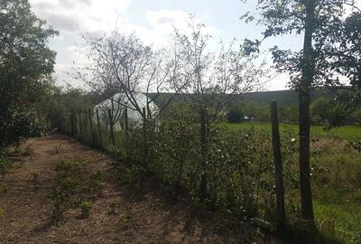 Casă cu 3 camere cu Teren 8000 Mp în Stuhuleț - 4