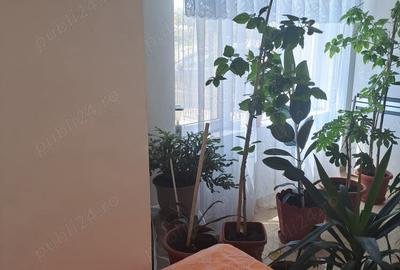 Casă cu 5 camere în Pechea - 1