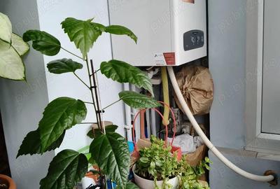 Apartament cu 3 camere semidecomandat în Lipovei - 6