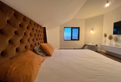 Vanzare Vila Individuala Branesti - 38