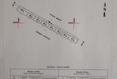 Loturi Teren  Berceni - Dobreni | Intravilan | - 2