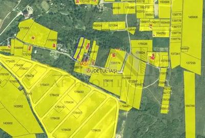 Bucium, Fundac Paun, teren1500mp. intravilan str asfaltata - 4