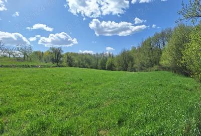 Casă cu Teren 5000 Mp în Cornițel - 3