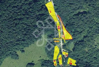 Teren de 2482 mp, în Bratca - 3