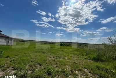 Teren de 1716 mp, în Priseaca - 4