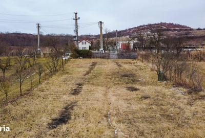 Teren de 1500 mp, în Ciurila - 6