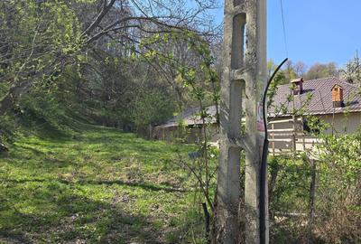 Spațiu comercial, în Central - 3