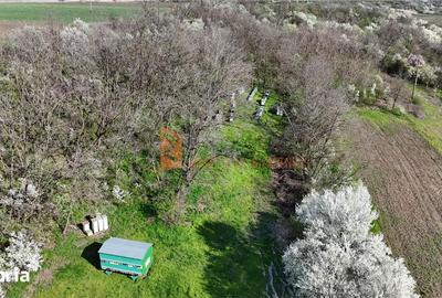 Teren de 3740 mp, în Vadu Pașii - 2