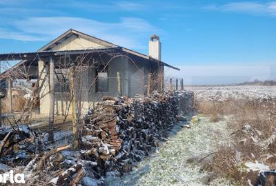 Teren de 50000 mp, în Ciorani - 8