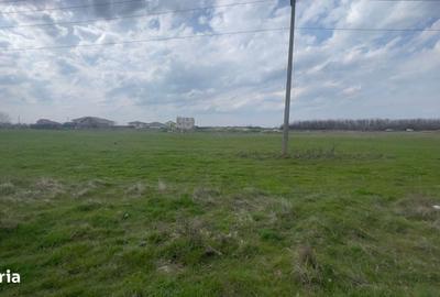 Teren de 1000 mp, în Central - 5