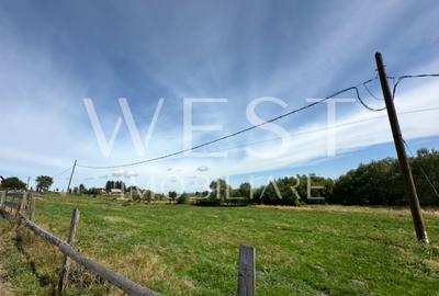 Teren Marisel! 6500mp cu panorama de exceptie! Parau langa teren!