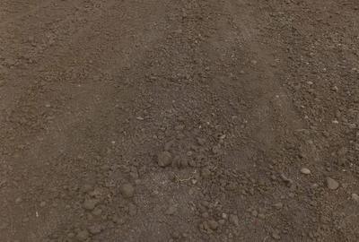 Inchiriezi teren ! Turnu magurele Inchiriezi teren ! Turnu magurele - 3