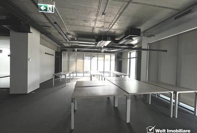Birouri finisate 353mp in cladire Office, zona Bosch Engeneering - 3