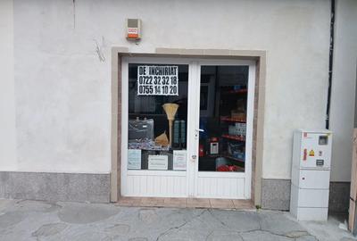 Mangalia sp comercial - 2