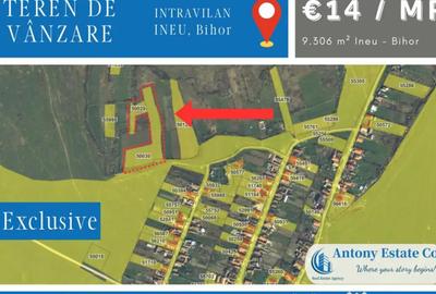 Teren de 9306 mp, în Ineu