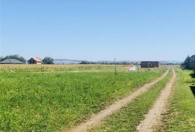 TEREN STRADAL CU UTILITATI 500 MP,  STUPINI BRASOV - 4