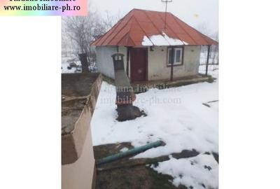 Casa de vanzare - Cocorastii Colt - 15