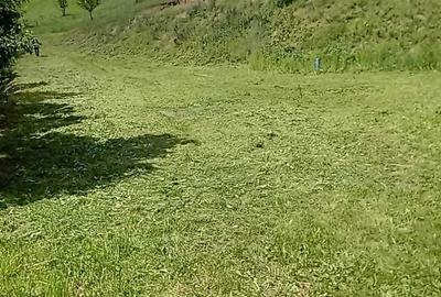 Spațiu comercial, în Poiana Galdei - 1