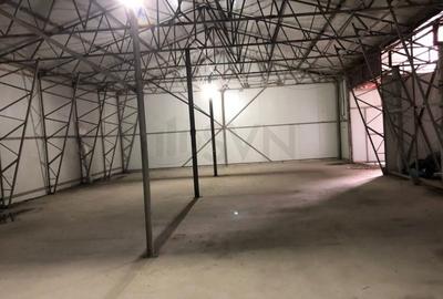 Teren agricol intravilan de 5350 mp, în Chitila - 3