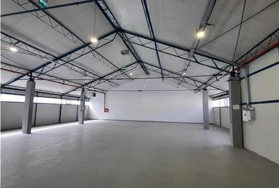 Spatiu Industrial - 600 mp - Productie - Depozitare - Distributie - 2