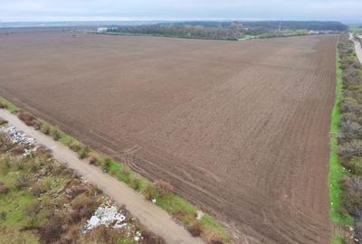 Teren Construcții intravilan de 10000 mp, în Exterior Est - 8
