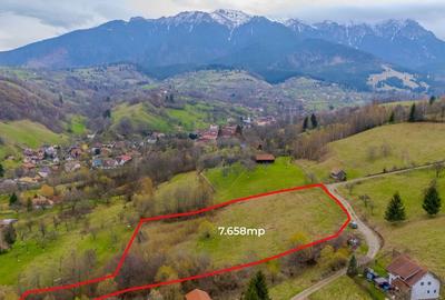 COMISION 0/Teren 7658 mp/Intravilan/Bran - 3