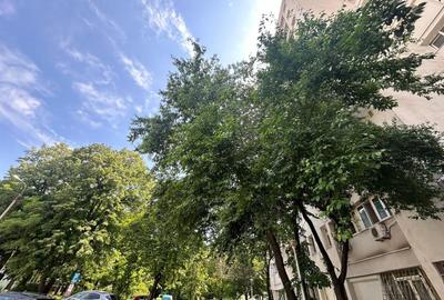 Garsoniera Titan Bloc 1978 Reabilitat 32 Mp Gata De Renovare 8 Min Metrou - 12