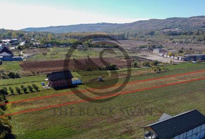 Teren intravilan de vanzare | 3.084mp | Plavia - Urlati |... - 3