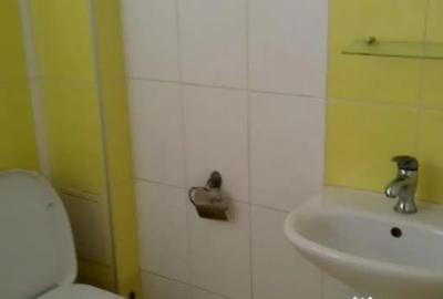 Garsonieră în Buziașului