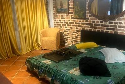 Inchirere studio cochet, zona Sisesti, la vila! - 5