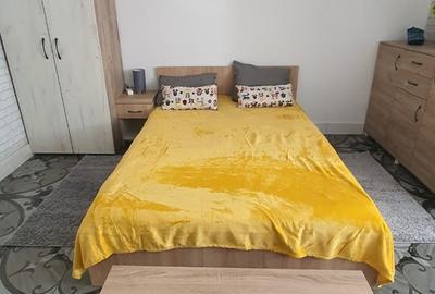 Garsonieră semidecomandată în Costin Georgian - 7