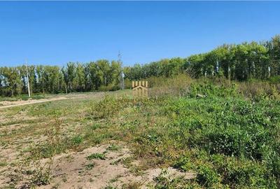 Teren de 180000 mp, în Șcheia - 7