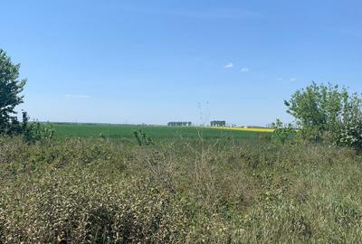 Vanzare  Teren  Afumati - Doraly Autostrada A0 - 4