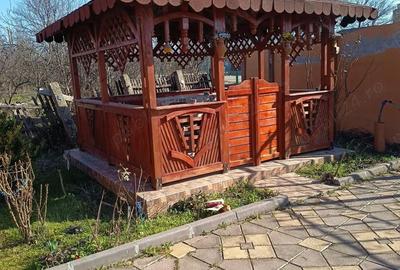 Casă cu Teren 2750 Mp în Vulpeni - 9