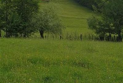 Teren Construcții extravilan de 5000 mp, în Cerdac - 2