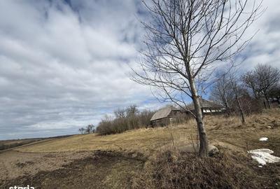 Teren de 1556 mp, în Central - 1