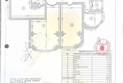Vilă deosebită D+P+1E+P/ zona exclusivistă/Iancu Nicolae - 9