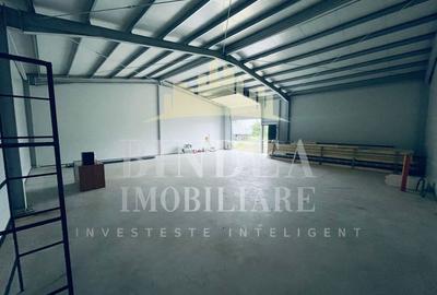 Hala in Pișchia - ideală pentru servicii, depozit sau activitate comerciala - 9