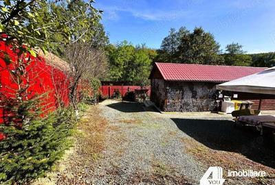 Casă cu 7 camere cu Teren 5158 Mp în Groși - 6