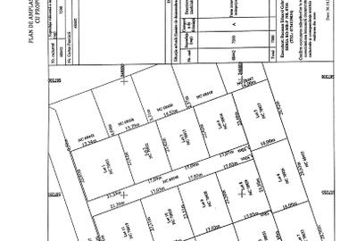 Teren Construcții intravilan de 2500 mp, în Balotești - 2