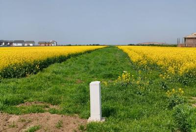 Teren 469 mp Vidra - utilitati la lot, plata in rate - 3