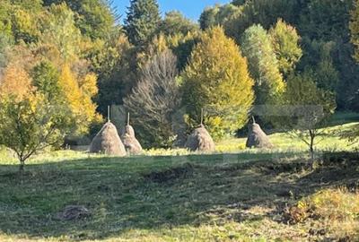 Cabana de lemn, 7 camere - afacere la cheie - Brasov - 2