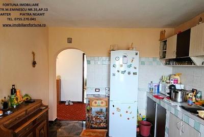 Proprietate Slobozia-Roznov, casa mansardata, teren si livada - 28